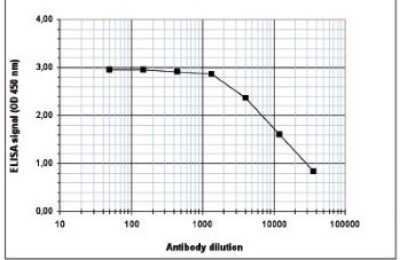 ELISA: Histone H4 [ac Lys5, ac Lys8, ac Lys12] Antibody [NBP2-59252] - To determine the titer of the antibody, an ELISA was performed using a serial dilution of the antibody directed against H4K5,8,12ac in antigen coated wells. The antigen used was a peptide containing the histone modification of interest. By plotting the absorbance against the antibody dilution, the titer of the antibody was estimated to be 1:14,500.